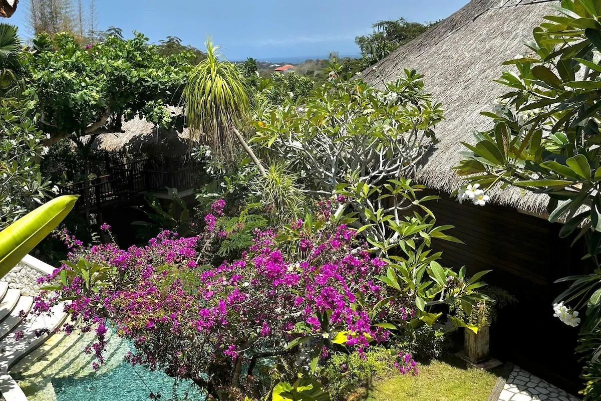 Unique Tropical High Class Oasis-Cook Driver Staff 웅아산