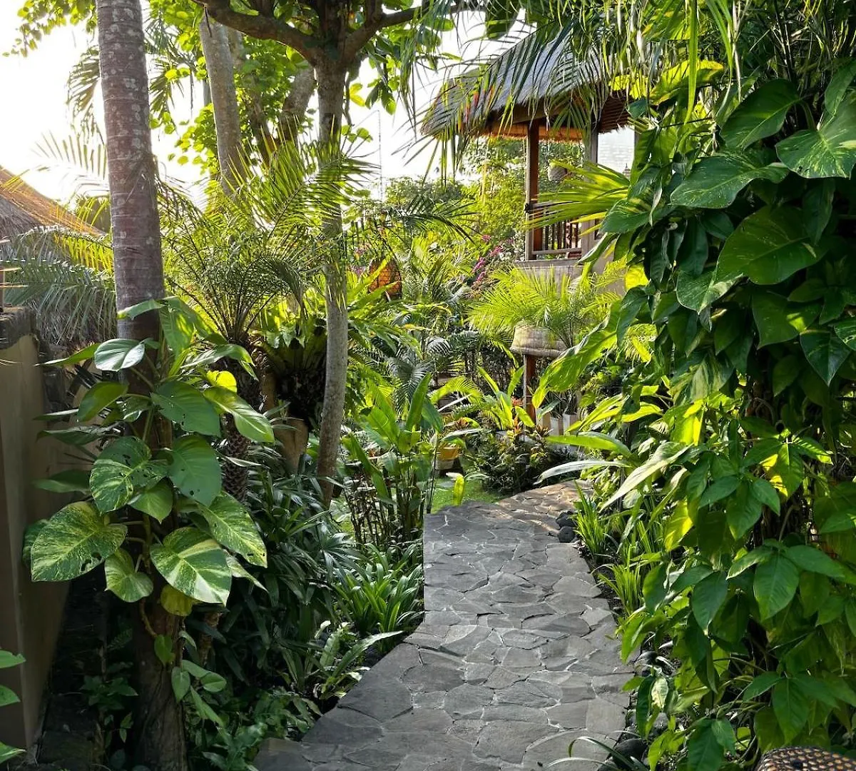 Unique Tropical High Class Oasis-Cook Driver Staff 웅아산 빌라
