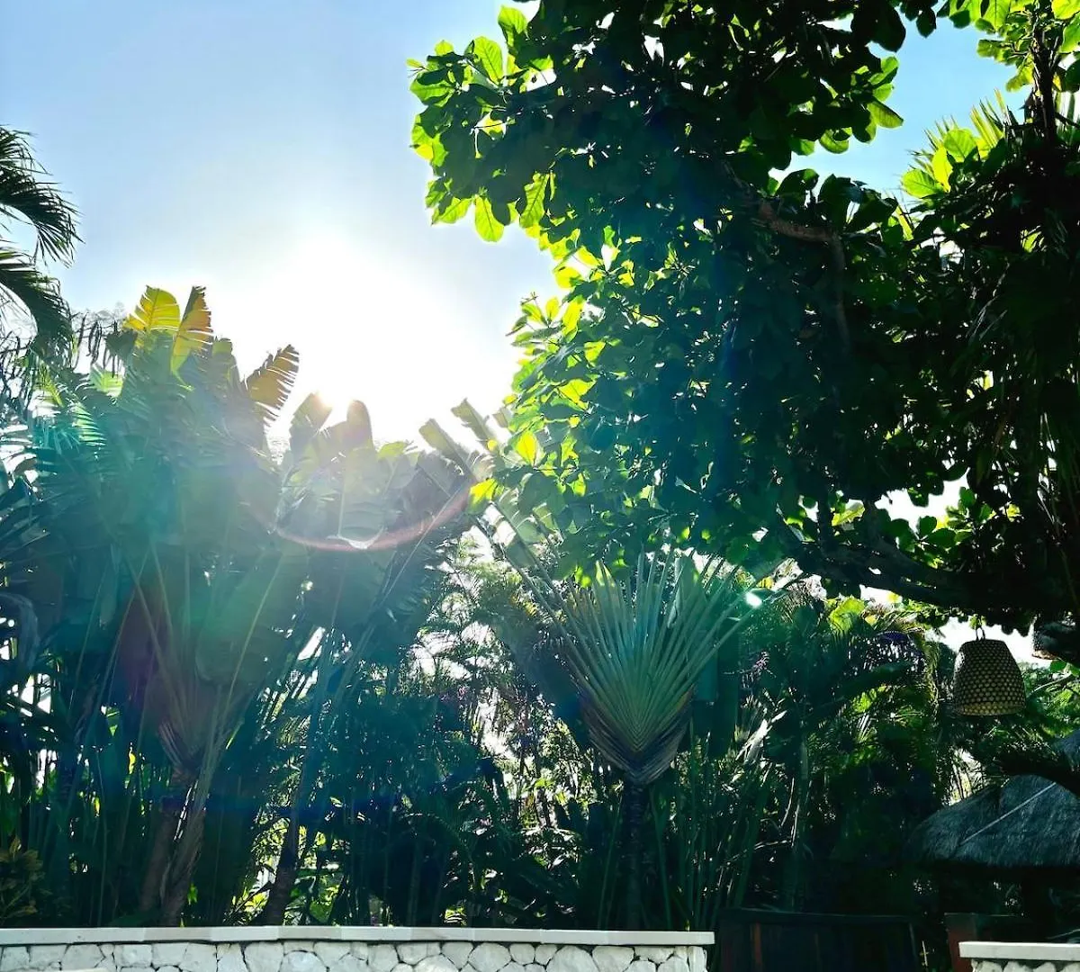 Unique Tropical High Class Oasis-Cook Driver Staff 웅아산
