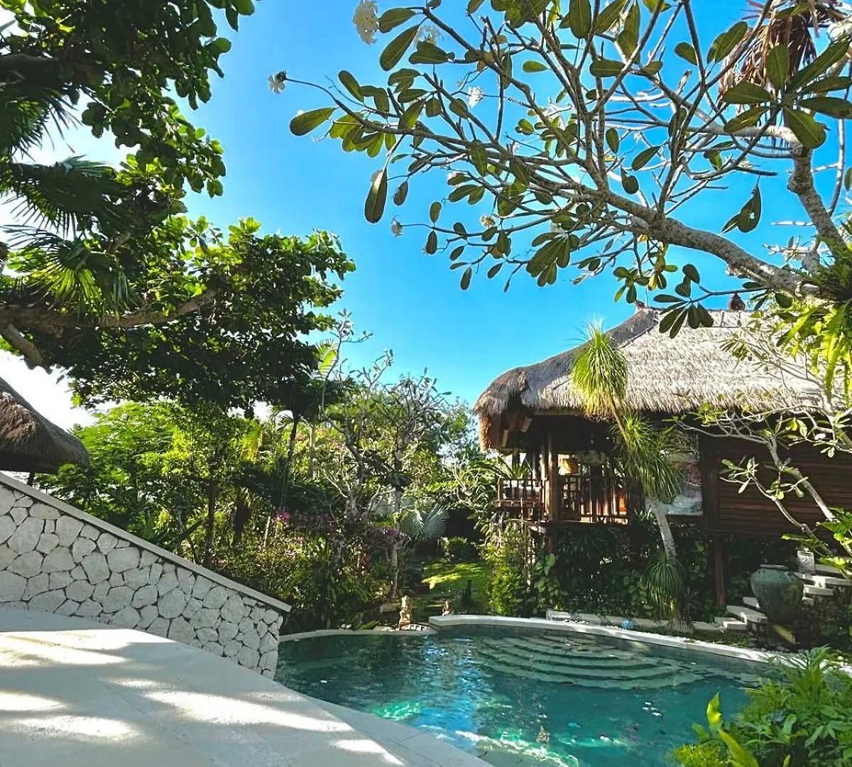 Unique Tropical High Class Oasis-Cook Driver Staff 웅아산 빌라